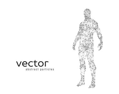 Vector illustration of human body clipart