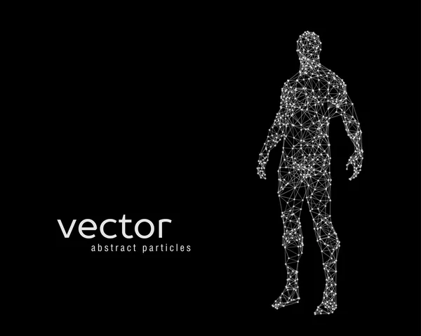 Vector illustration of human body — Stock Vector