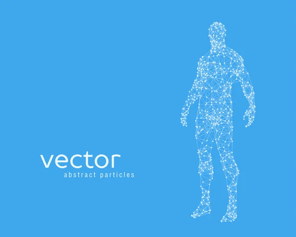 Gambar vektor dari tubuh manusia - Stok Vektor