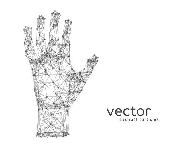 Vektorillustration des menschlichen Arms — Stockvektor