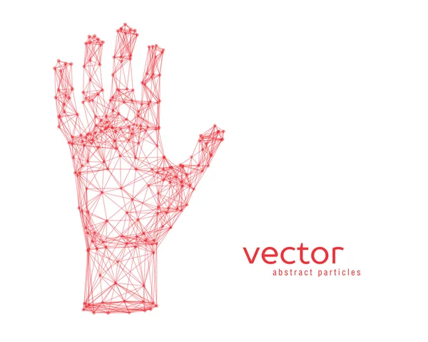 Ilustración vectorial del brazo humano — Archivo Imágenes Vectoriales