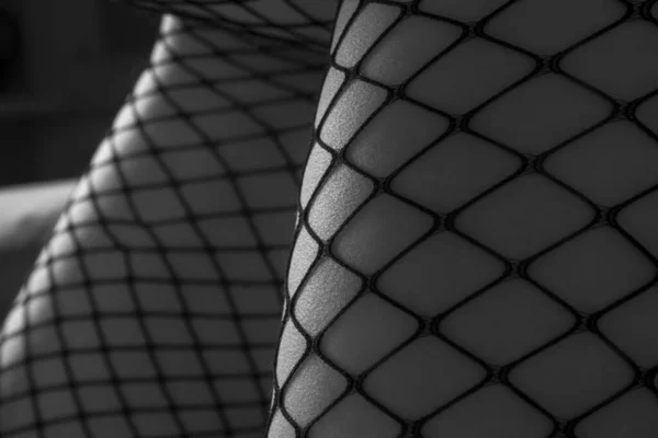 Weibliche Beine Netzstrümpfen Fetisch Konzept Monochrom — Stockfoto