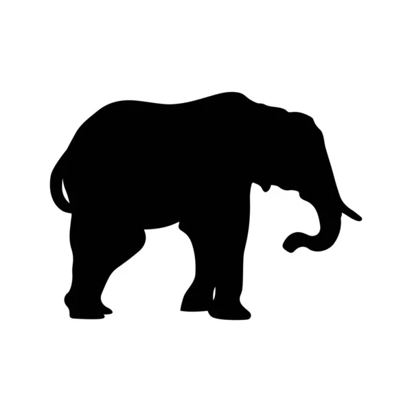 Sloní siluety černé barvy na bílém pozadí. Vektorová ilustrace. — Stockový vektor