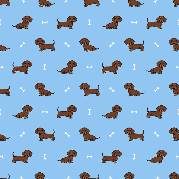Şirin dachshund köpek çikolatası ve bronz çizgi film kusursuz desen, vektör çizimi