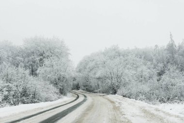 Karla kaplı bir yol, kar beyazı bir ormanın içinde. Soğuk bir günde karla kaplı..
