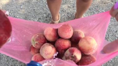 Marketten alınan taze şeftaliler bir torba suyla yıkanır..