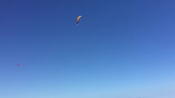 Två Fallskärmshoppare Flyger Himlen Mot Blå Himmel Solig Klar Dag — Stockvideo