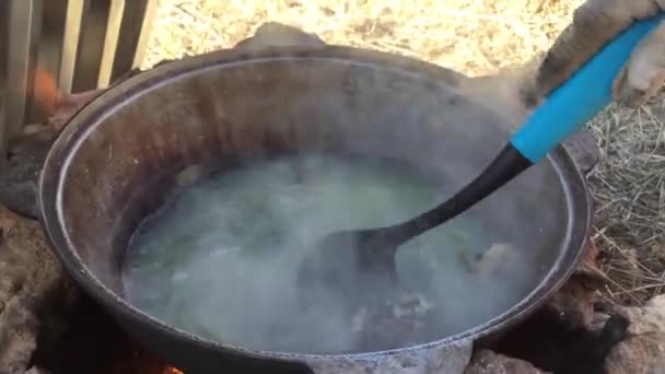 Przygotowanie Zupy Rybnej Podczas Rejsu Połowowego Świeżo Złowionych Ryb — Wideo stockowe