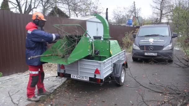 Moscou Rússia Março 2019 Trabalhador Capacete Protetor Destrói Galhos Árvores — Vídeo de Stock