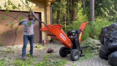 MOSCOW, Rusya 18 Mayıs 2021: Koruyucu kask takan bir işçi mekanik öğütücüdeki ağaç dallarını tahrip etti.