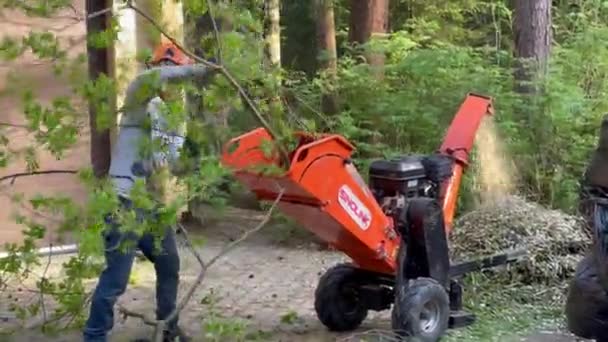 Moscú Rusia Mayo 2021 Trabajador Con Casco Protector Destruye Ramas — Vídeo de stock