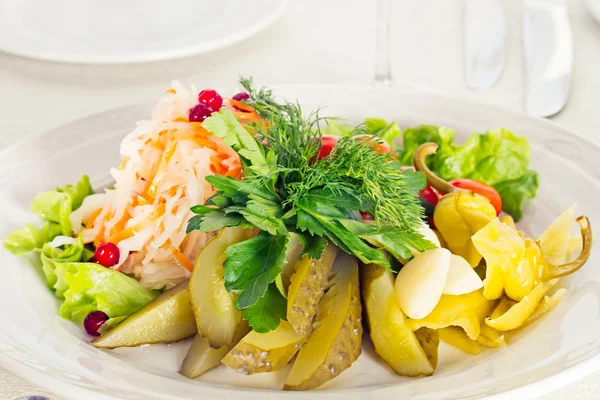 Cold appetizer - pickled vegetables — Stock Photo, Image