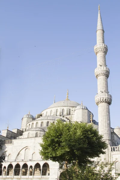 Minaret a dóm Modrá mešita v Istanbulu — Stock fotografie