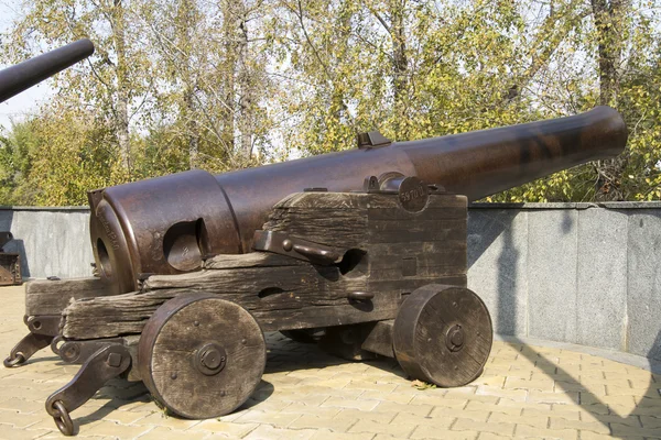 Old coastal guns — Stock Photo, Image