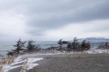 Cape Nyuklya near Magadan clipart