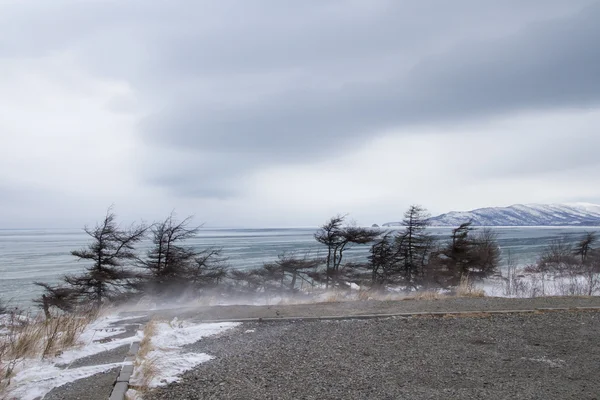 Cape Nyuklya in de buurt van Magadan — Stockfoto