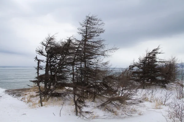 Cabo Nyuklya perto de Magadan — Fotografia de Stock