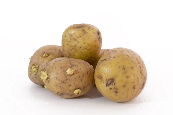 Várias batatas em um fundo branco — Fotografia de Stock