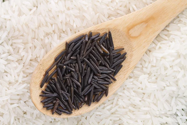 Spoon black wild rice in white long grain rice — Stock Photo, Image