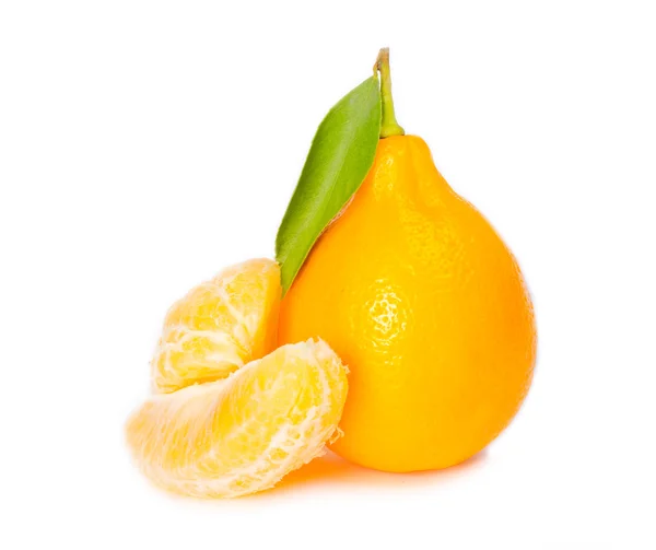 Tashkent lemon — Stock Photo, Image