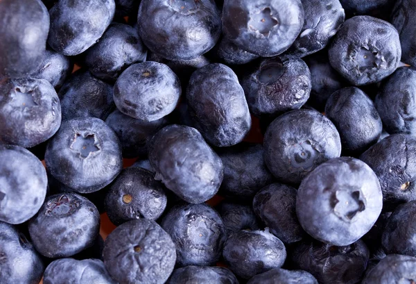 蓝莓的背景 — 图库照片