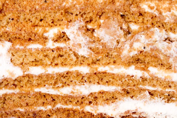 Background of the layers of honey cake with cream — Stock Photo, Image