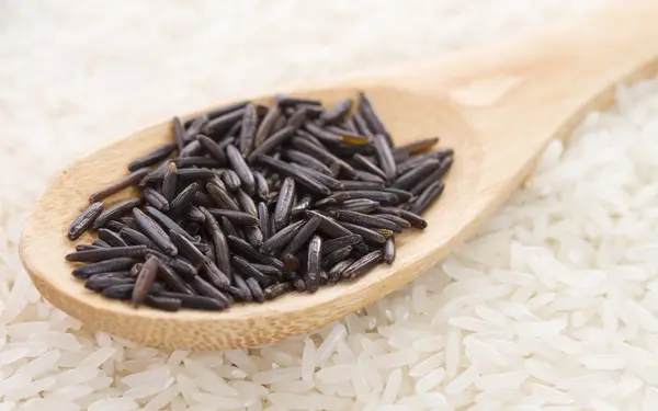 Spoon black wild rice in white long grain rice — Stock Photo, Image