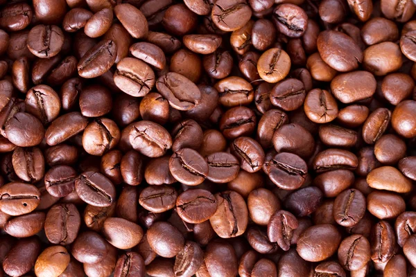Šálek kávy na pozadí kávová zrna — Stock fotografie