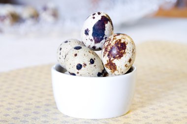 Damalı peçete pamuk üzerinde birkaç bıldırcın yumurtası