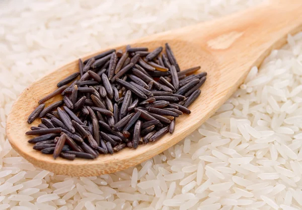 Spoon black wild rice in white long grain rice — Stock Photo, Image