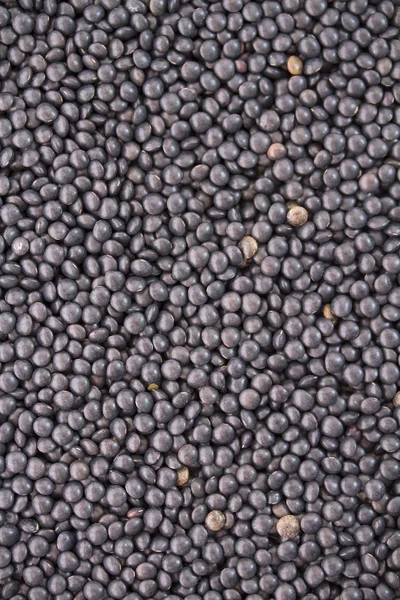 Background of black lentils — Stock Photo, Image