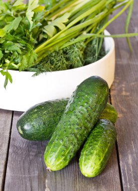 Salatalık eski ahşap panoları ve bir plaka ile maydanoz, dereotu bir