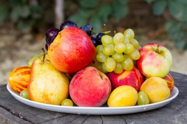 Bahçede meyve büyük eski bir ağaç üzerinde bir tabakta güdük
