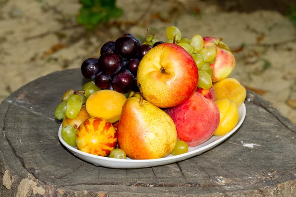 Fruits on a plate on a big old tree stump in the garden — Stock Photo, Image