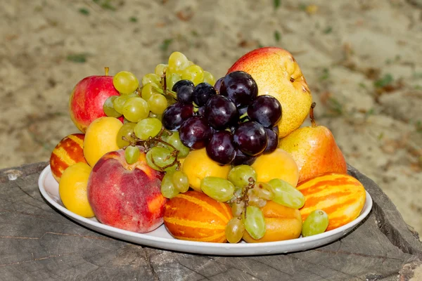 Fruits on a plate on a big old tree stump in the garden — Stock Photo, Image