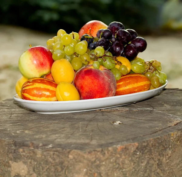 Fruits on a plate on a big old tree stump in the garden — Stock Photo, Image
