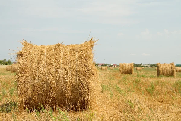 Haystack su campo inclinato — Foto Stock