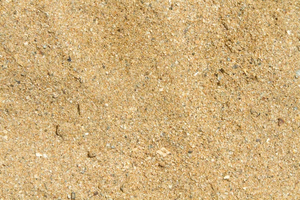 Fundo das conchas finamente moídas e areia molhada — Fotografia de Stock