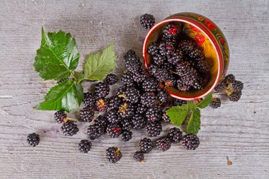 Böğürtlen geleneksel Rus yemeği eski ahşap tablo