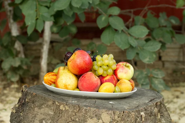 Fruits sur une assiette sur une grosse souche d'arbre dans le jardin — Photo