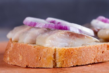 Sandviç ringa balığı ve soğan ile