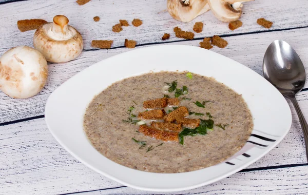 Champignoncreme mit gerösteten — Stockfoto