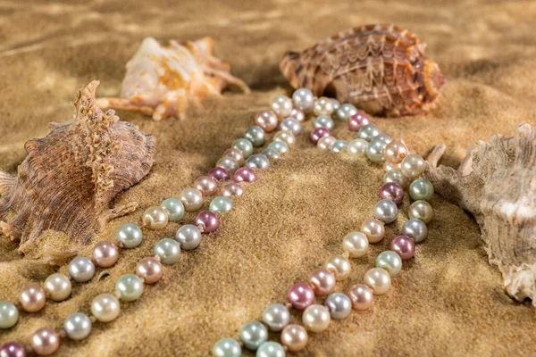 Pearl Beads Seashells Bottom Sea Sand Rays Sun — Stock Photo, Image