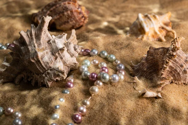 Pearl Beads Seashells Bottom Sea Sand Rays Sun — Stock Photo, Image
