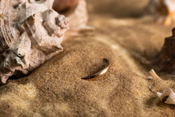 golden ring underwater on the sand next to the seashells