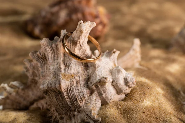 golden ring underwater on the sand next to the seashells