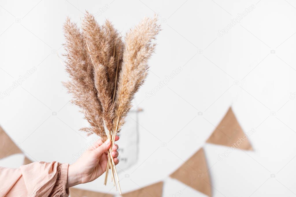 The woman holds the pampas grass in her hand. Reed Plume Stem, Dried Pampas Grass, Decorative Feather Flower Arrangement for Home, Beach Theme, New Trendy Home Decor. Dry reeds boho style.