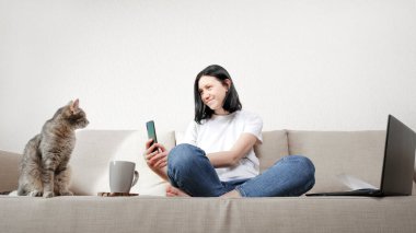 Evden çalışma kavramı, genç bir kadının dikkati gri kedisini akıllı telefondan çekmek için dağılmıştı. Kız öğrenci, kedisiyle bir iş için evde çalışıyor..