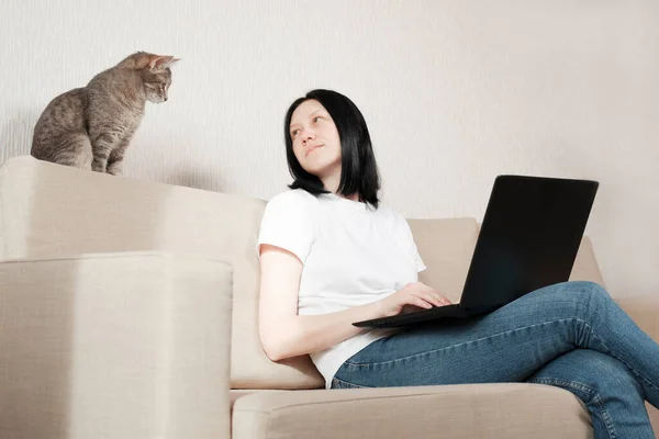 A young woman works from home while sitting on a sofa. The girl uses a laptop for remote work. A gray cat sits on the couch and carefully monitors the work of the freelancer. Stay at home.