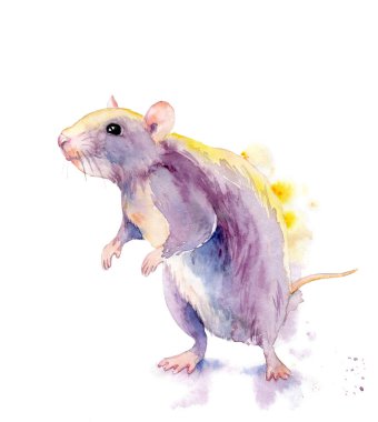 Bir hayvanın suluboya çizimi - sıçrama ve damladan yapılmış bir fare